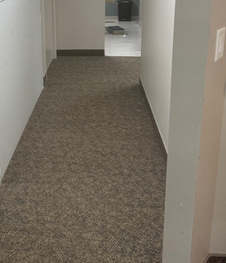 The original carpeted hallway before replacement.