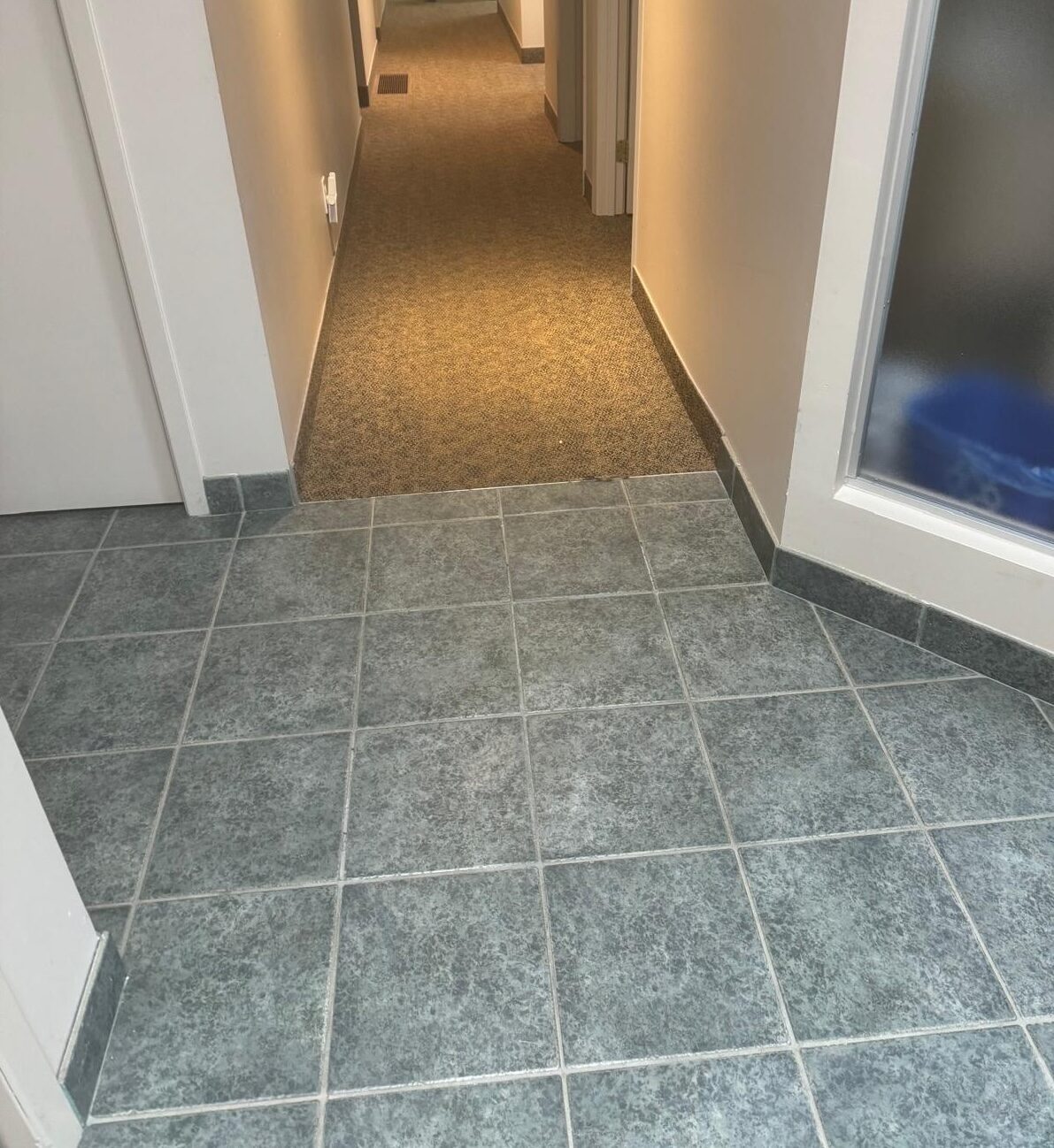 The original floor — old tile meeting old carpet at a transition, sitting at different heights.